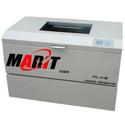 ��ʽ����ҡ��TS-111B